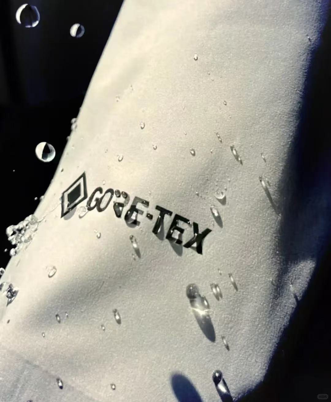 Gore-Tex