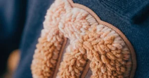 Appliqué _ Chenille Embroidery- sweatsuit