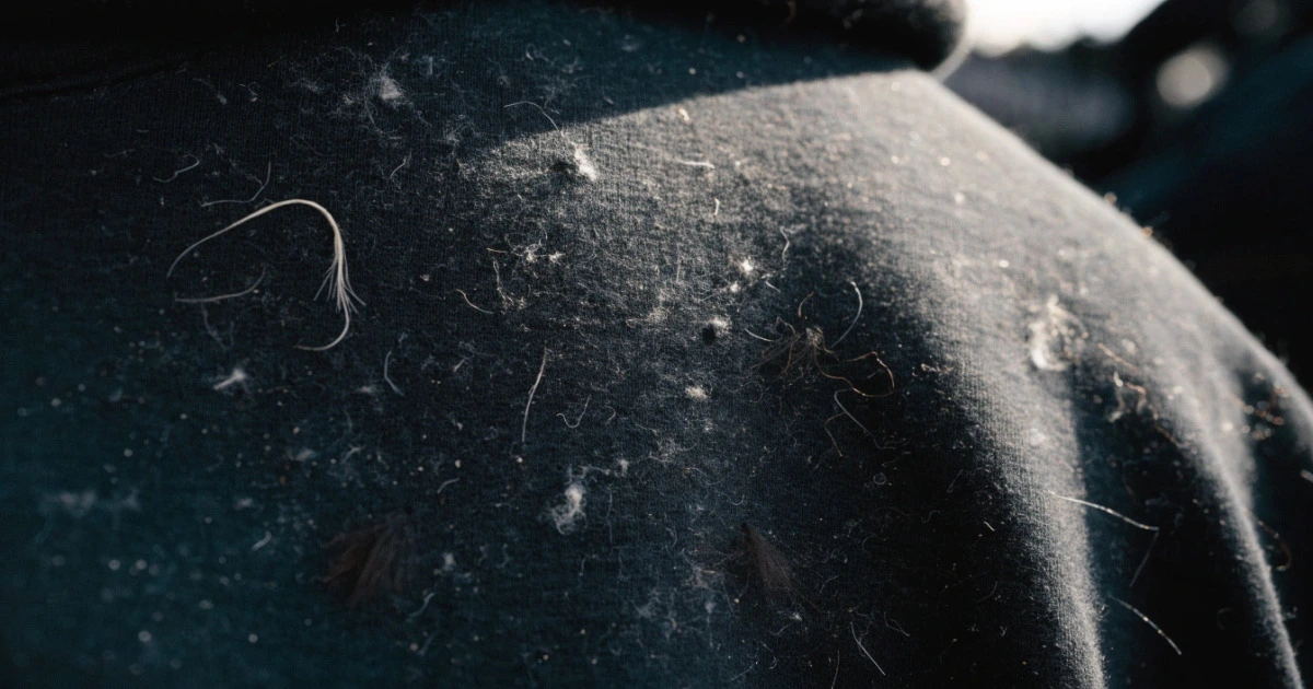 black hoodie drawbacks care fabric fading